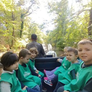 BOJČINSKA ŠUMA HK5 (21)