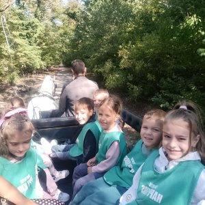 BOJČINSKA ŠUMA HK5 (25)