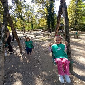 BOJČINSKA ŠUMA HK5 (62)