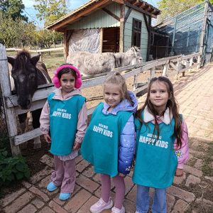 ETNO SELO AMERIĆ HK5 (22)