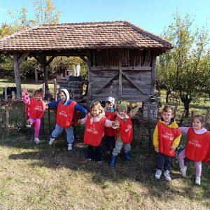 ETNO SELO AMERIĆ HK6 (10)