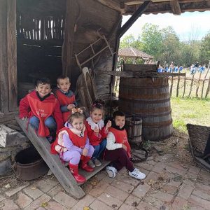ETNO SELO AMERIĆ HK6 (24)